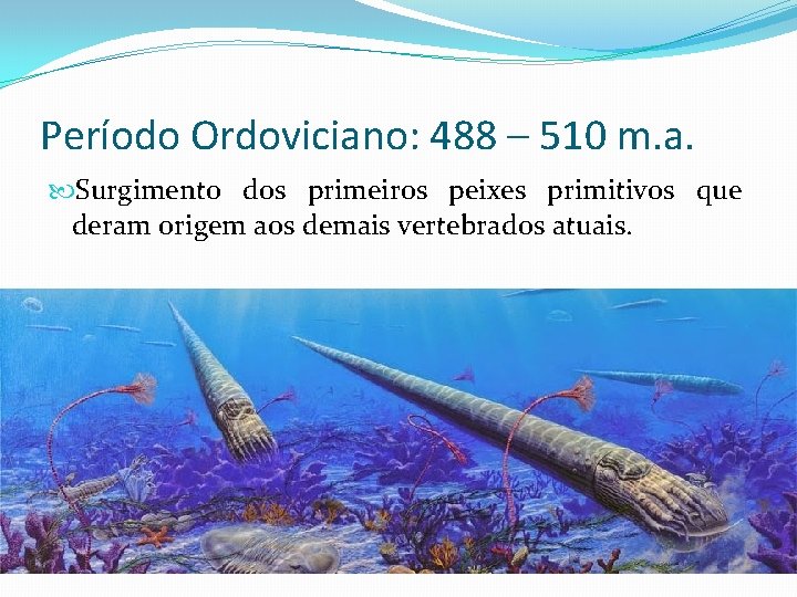 Período Ordoviciano: 488 – 510 m. a. Surgimento dos primeiros peixes primitivos que deram
