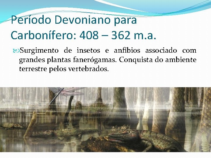 Período Devoniano para Carbonífero: 408 – 362 m. a. Surgimento de insetos e anfíbios