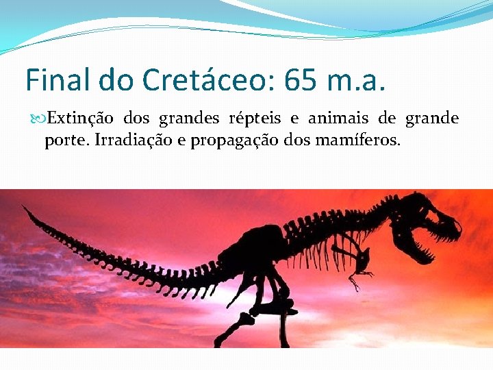 Final do Cretáceo: 65 m. a. Extinção dos grandes répteis e animais de grande