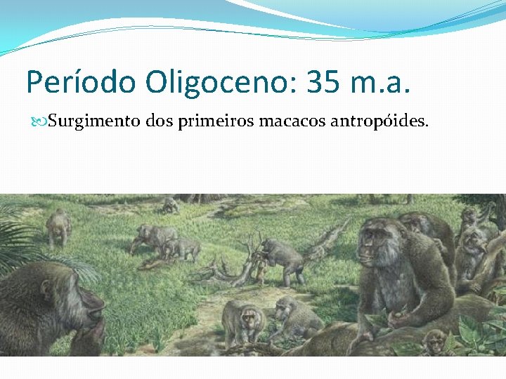Período Oligoceno: 35 m. a. Surgimento dos primeiros macacos antropóides. 