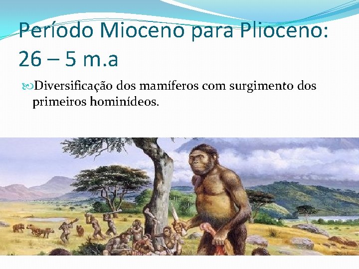 Período Mioceno para Plioceno: 26 – 5 m. a Diversificação dos mamíferos com surgimento