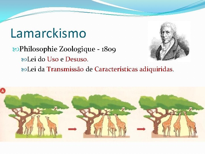 Lamarckismo Philosophie Zoologique - 1809 Lei do Uso e Desuso. Lei da Transmissão de