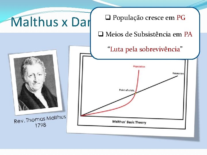 Malthus x Darwin q População cresce em PG q Meios de Subsistência em PA