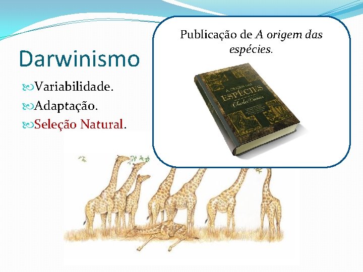 Darwinismo Variabilidade. Adaptação. Seleção Natural. Publicação de A origem das espécies. 