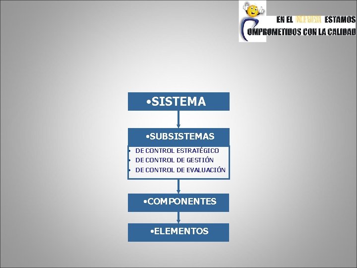  • SISTEMA • SUBSISTEMAS • DE CONTROL ESTRATÉGICO • DE CONTROL DE GESTIÓN