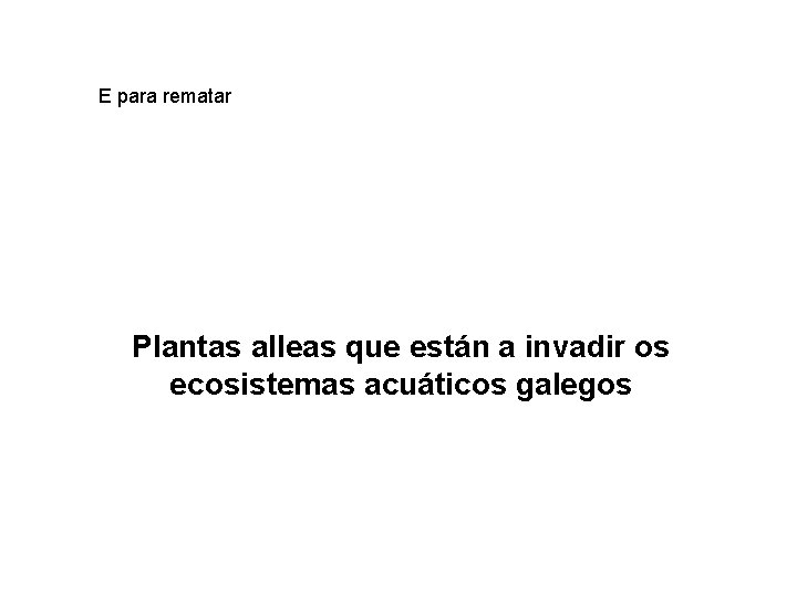 E para rematar Plantas alleas que están a invadir os ecosistemas acuáticos galegos 