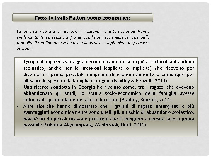 Fattori a livello Fattori socio economici: Le diverse ricerche e rilevazioni nazionali e internazionali