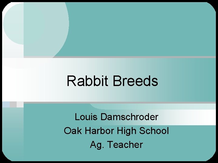 Rabbit Breeds Louis Damschroder Oak Harbor High School Ag. Teacher 