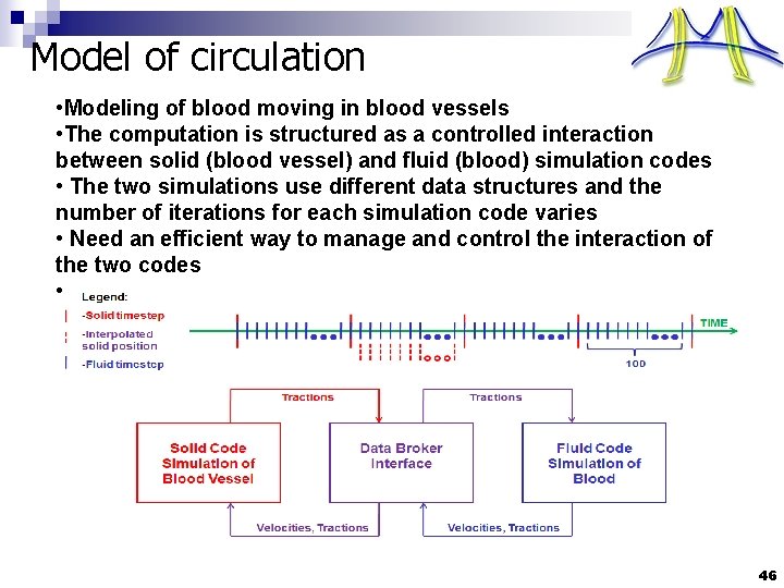 Model of circulation • Modeling of blood moving in blood vessels • The computation