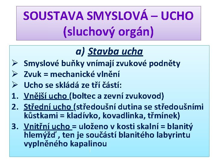 SOUSTAVA SMYSLOVÁ – UCHO (sluchový orgán) a) Stavba ucha Smyslové buňky vnímají zvukové podněty