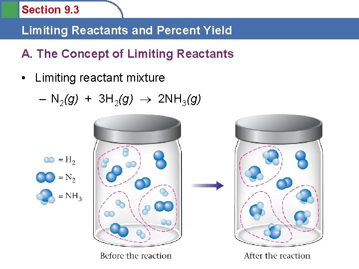 Section 9. 3 Limiting Reactants and Percent Yield A. The Concept of Limiting Reactants