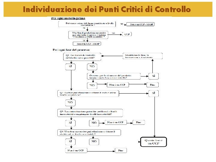 Individuazione dei Punti Critici di Controllo Individuazione dei Punti Critici di Controllo