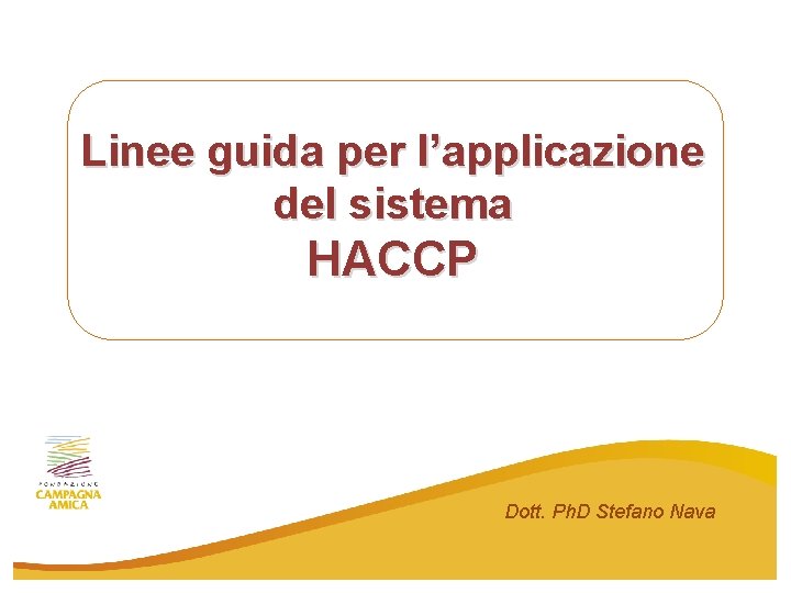 Linee guida per l’applicazione del sistema HACCP Dott. Ph. D Stefano Nava Linee guida per l’applicazione del sistema HACCP Dott. Ph. D Stefano Nava