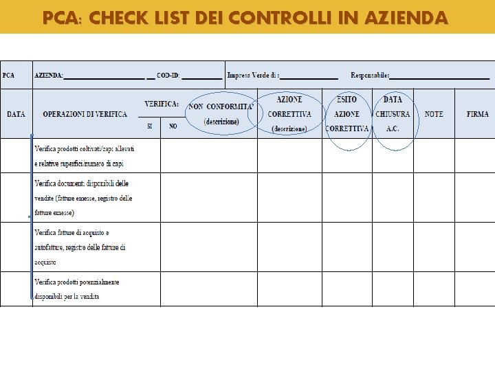 PCA: CHECK LIST DEI CONTROLLI IN AZIENDA PCA: CHECK LIST DEI CONTROLLI IN AZIENDA