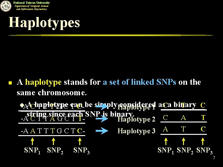 National Taiwan University Department of Computer Science and Information Engineering Haplotypes n A haplotype