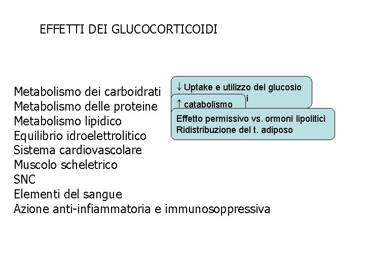 EFFETTI DEI GLUCOCORTICOIDI e utilizzo del glucosio Metabolismo dei carboidrati Uptake gluconeogenesi catabolismo Metabolismo