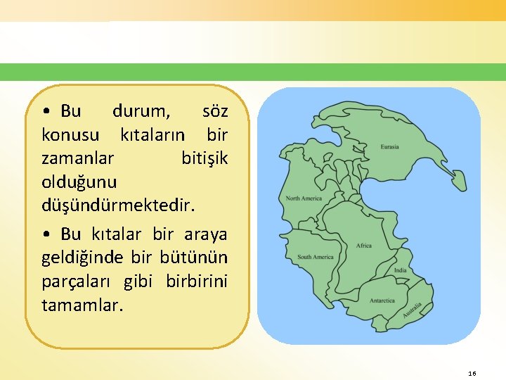 • Bu durum, söz konusu kıtaların bir zamanlar bitişik olduğunu düşündürmektedir. • Bu