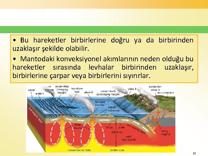  • Bu hareketler birbirlerine doğru ya da birbirinden uzaklaşır şekilde olabilir. • Mantodaki
