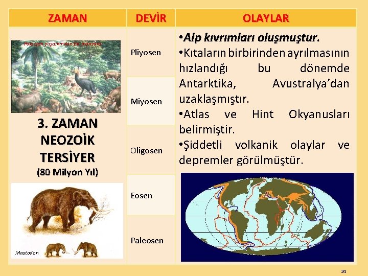 ZAMAN Paleojen yaşamından bir manzara DEVİR Pliyosen Miyosen 3. ZAMAN NEOZOİK TERSİYER Oligosen (80