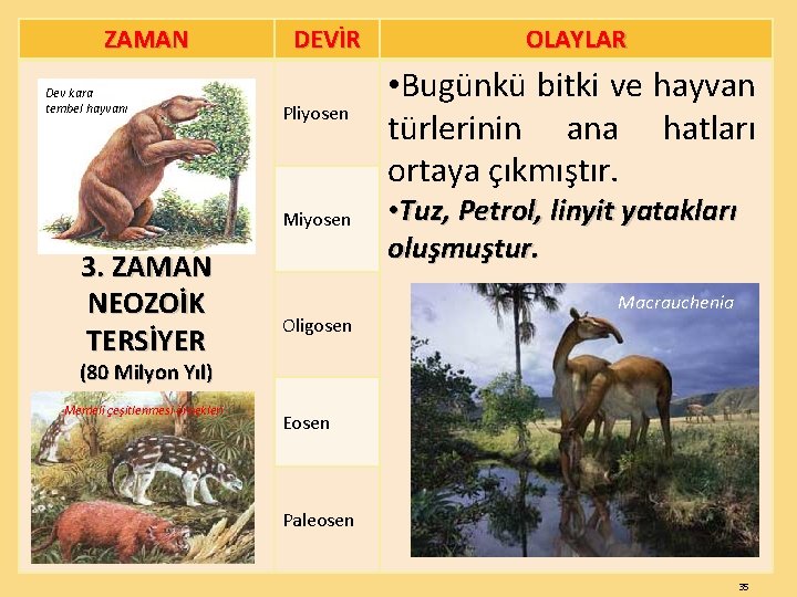 ZAMAN Dev kara tembel hayvanı DEVİR Pliyosen Miyosen 3. ZAMAN NEOZOİK TERSİYER Oligosen OLAYLAR