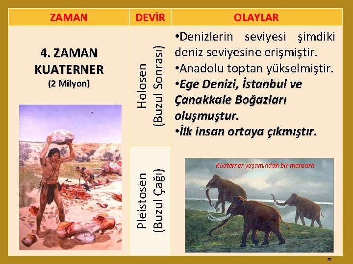 (2 Milyon) OLAYLAR Holosen (Buzul Sonrası) 4. ZAMAN KUATERNER DEVİR • Denizlerin seviyesi şimdiki