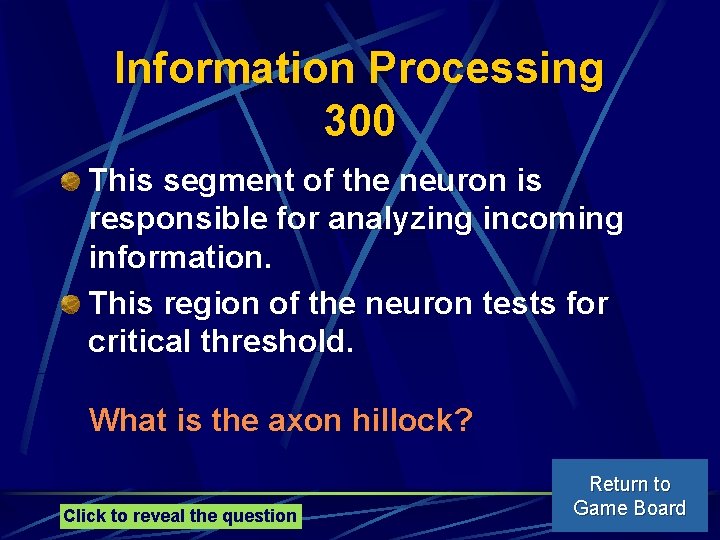 Information Processing 300 This segment of the neuron is responsible for analyzing incoming information.