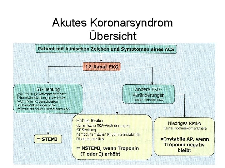 Akutes Koronarsyndrom Übersicht 
