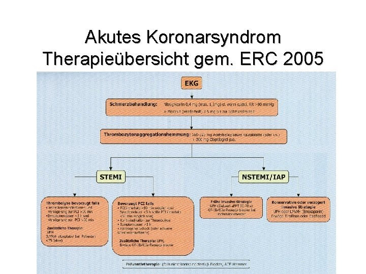 Akutes Koronarsyndrom Therapieübersicht gem. ERC 2005 