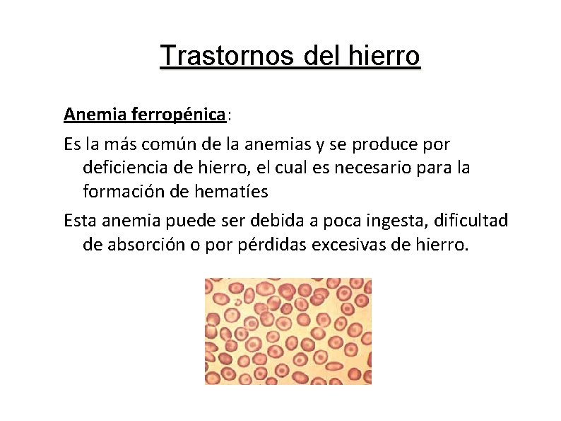 Trastornos del hierro Anemia ferropénica: Es la más común de la anemias y se