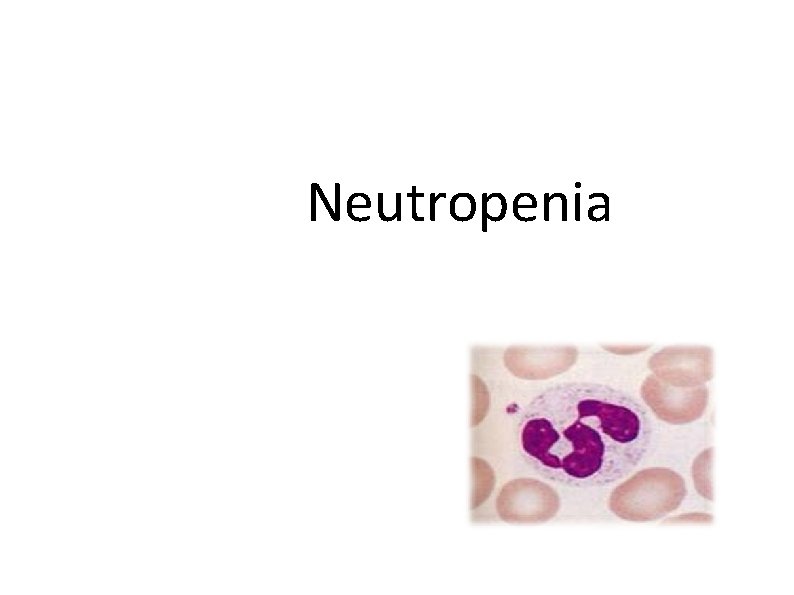 Neutropenia 