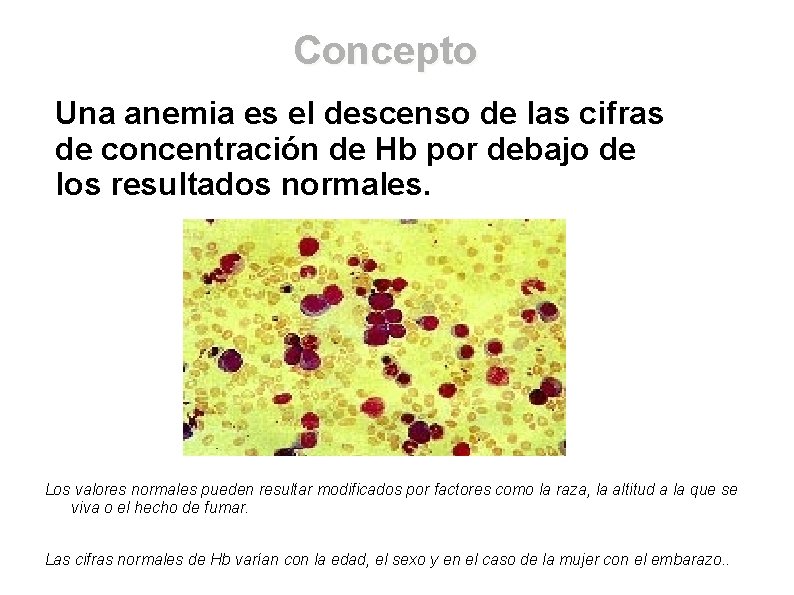 Concepto Una anemia es el descenso de las cifras de concentración de Hb por