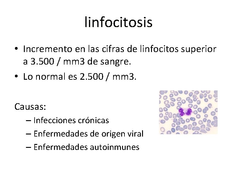 linfocitosis • Incremento en las cifras de linfocitos superior a 3. 500 / mm