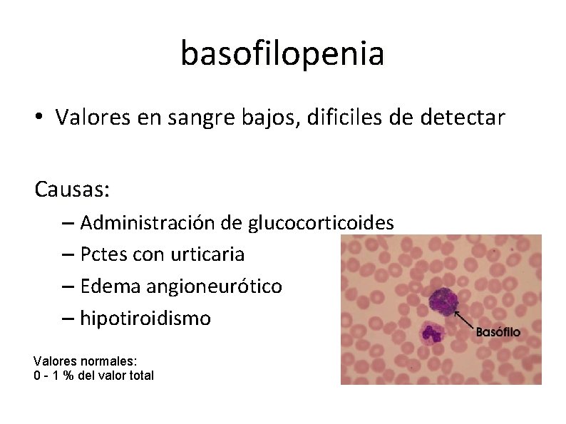 basofilopenia • Valores en sangre bajos, dificiles de detectar Causas: – Administración de glucocorticoides