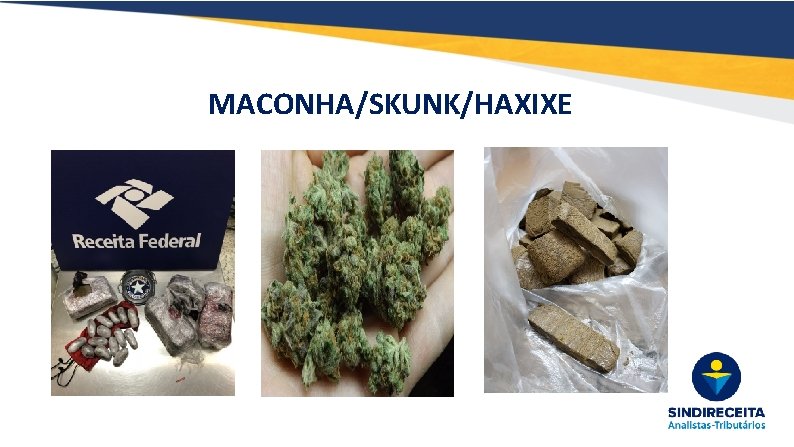 MACONHA/SKUNK/HAXIXE 