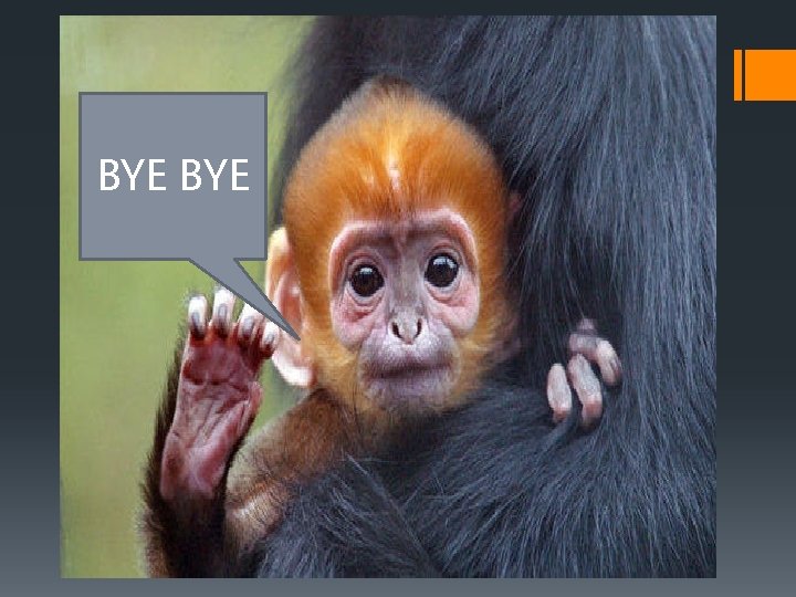 BYE 