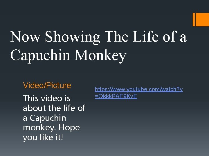 Now Showing The Life of a Capuchin Monkey Video/Picture This video is about the