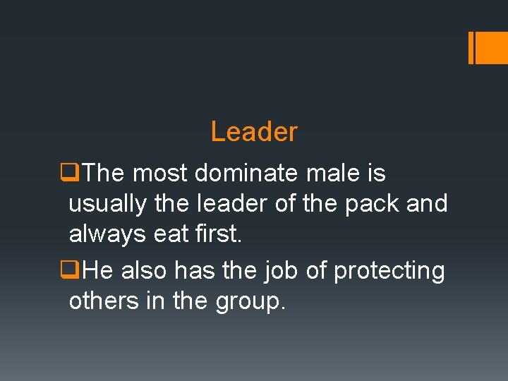 Leader q. The most dominate male is usually the leader of the pack and