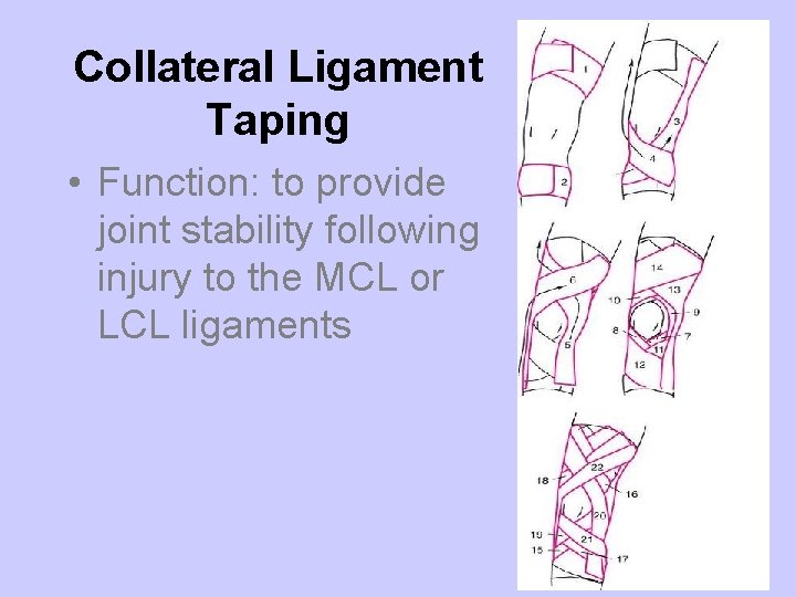 Collateral Ligament Taping • Function: to provide joint stability following injury to the MCL