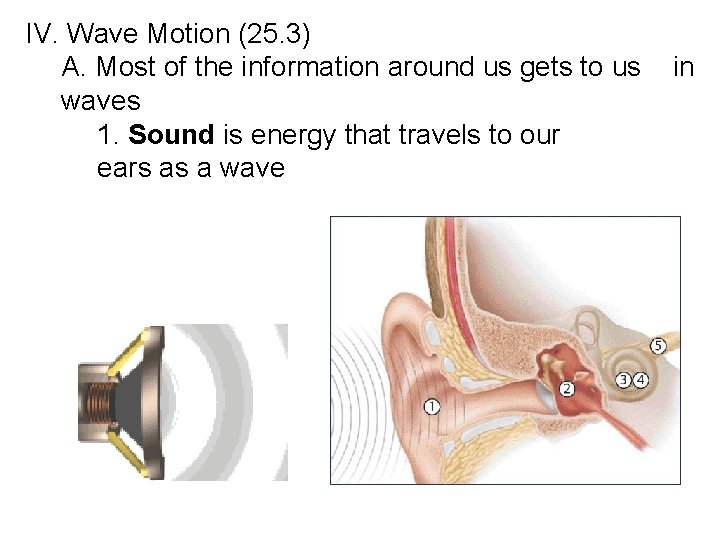 IV. Wave Motion (25. 3) A. Most of the information around us gets to