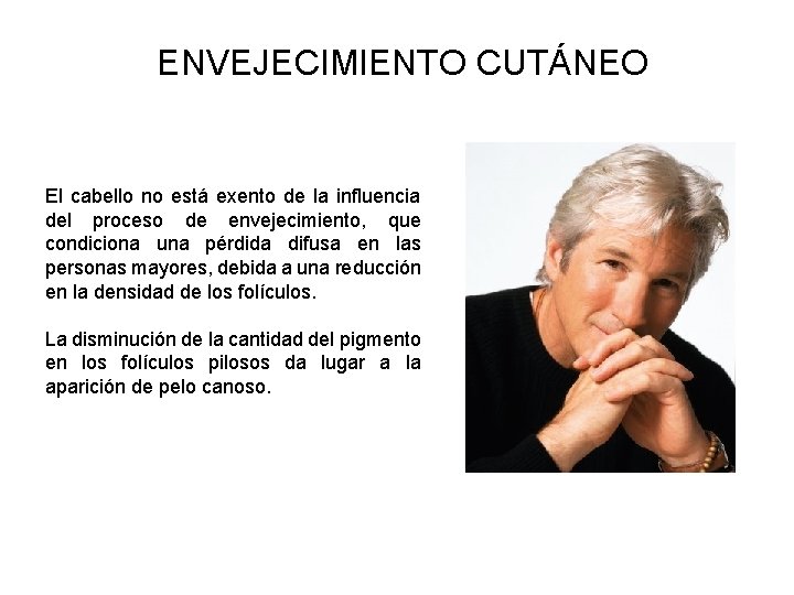 ENVEJECIMIENTO CUTÁNEO El cabello no está exento de la influencia del proceso de envejecimiento, ENVEJECIMIENTO CUTÁNEO El cabello no está exento de la influencia del proceso de envejecimiento,