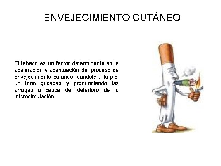 ENVEJECIMIENTO CUTÁNEO El tabaco es un factor determinante en la aceleración y acentuación del ENVEJECIMIENTO CUTÁNEO El tabaco es un factor determinante en la aceleración y acentuación del