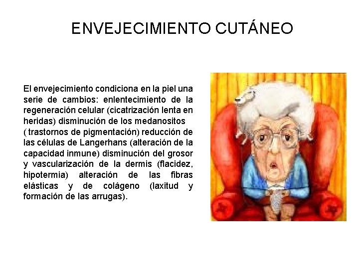 ENVEJECIMIENTO CUTÁNEO El envejecimiento condiciona en la piel una serie de cambios: enlentecimiento de ENVEJECIMIENTO CUTÁNEO El envejecimiento condiciona en la piel una serie de cambios: enlentecimiento de