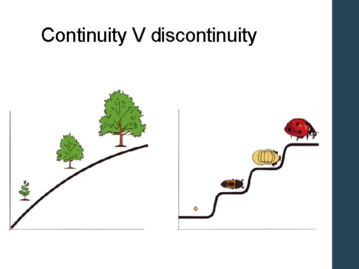 Continuity V discontinuity 