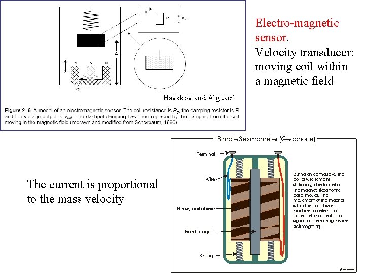 Electro-magnetic sensor. Velocity transducer: moving coil within a magnetic field Havskov and Alguacil The