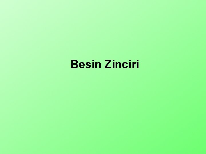 Besin Zinciri 