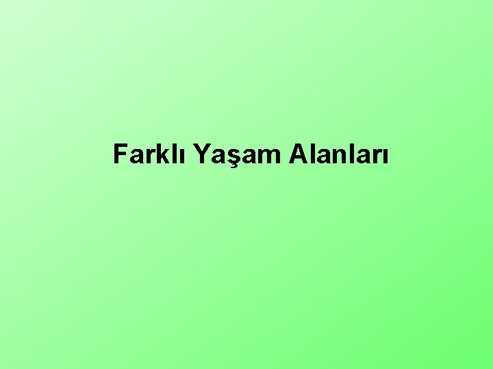 Farklı Yaşam Alanları 