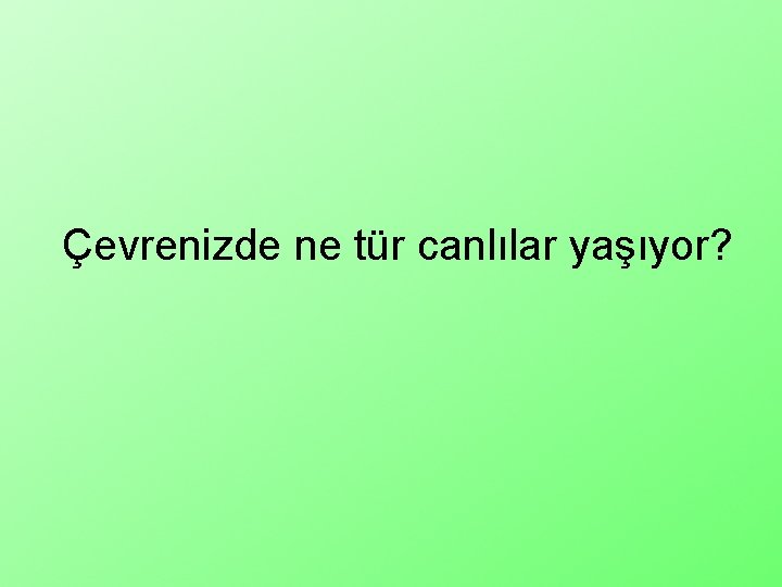 Çevrenizde ne tür canlılar yaşıyor? 