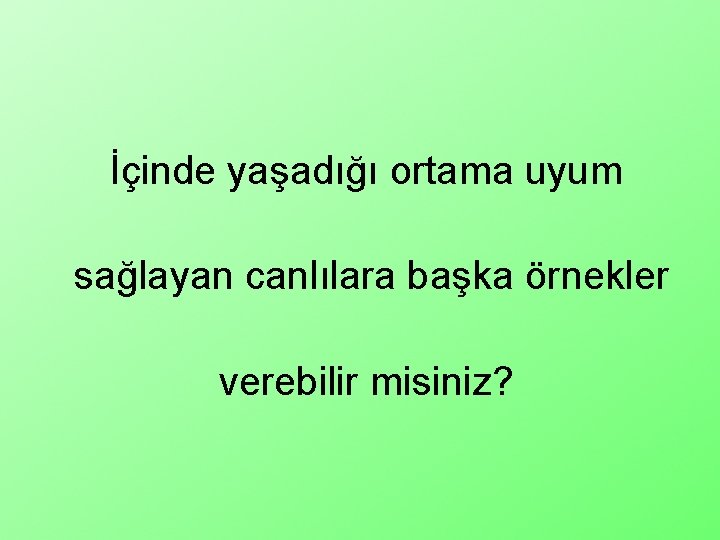 İçinde yaşadığı ortama uyum sağlayan canlılara başka örnekler verebilir misiniz? 