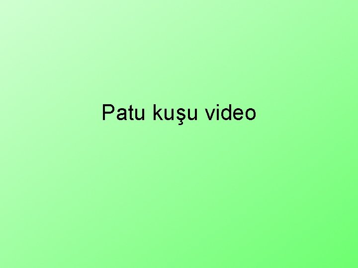 Patu kuşu video 