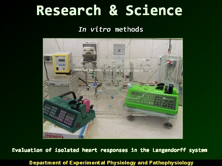 Research & Science In vitro methods Evaluation of isolated heart responses in the Langendorff